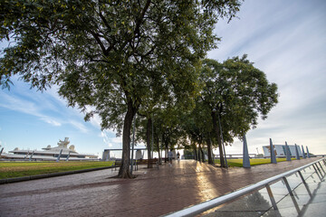 Obraz premium Early morning in the city park near the embankment. People walk with dogs in the park. Sunlight through the trees. Beautiful morning