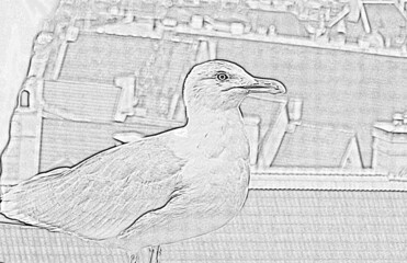 A large white seagull sits on a roof. Black and white sketch drawing.