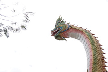 Obraz premium chinese dragon head