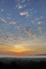 sunrise over the jungle