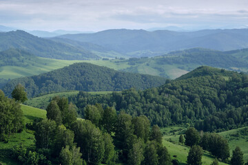 Green hills of Altai, mountain pastures.