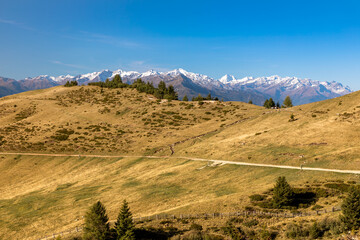 Fototapeta premium Wanderweg auf Meran 2000, Südtirol