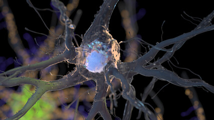 3d rendered illustration of a human nerve cell