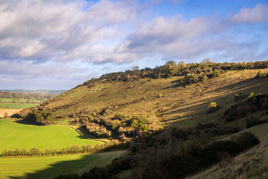 Ascending Fovant down beside the badges on the west Wiltshire Downs, Cranbourne Chase, south west England