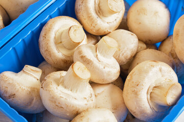Fresh champignons in plastic packaging close up