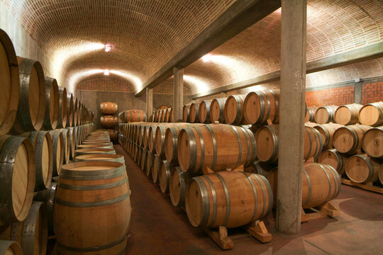 Su situaci&oacute;n a tan s&oacute;lo una legua de Valladolid y 1 km de Cigales, hace de la finca y la bodega LA LEGUA un interesante lugar para la pr&aacute;ctica del ENOTURISMO.