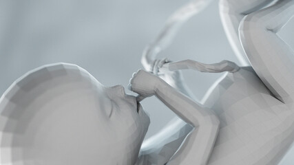 3d rendered illustration of an abstract human fetus - week 20
