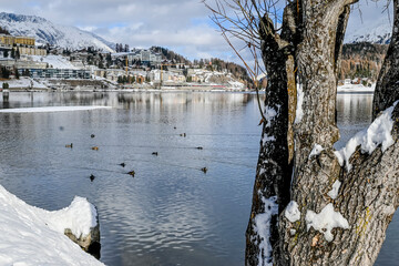 St. Moritz, Dorf, See, St. Moritzer See, Seeufer, Alpen, Schweizer Berge, Corviglia, Wintersport, Winterferien, Weihnachten, Oberengadin, Graubünden, Winter, Weihnachten, Schweiz