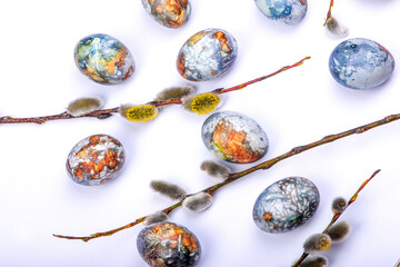 Easter background flat lay with branches pussy willows and colorful painted eggs on white