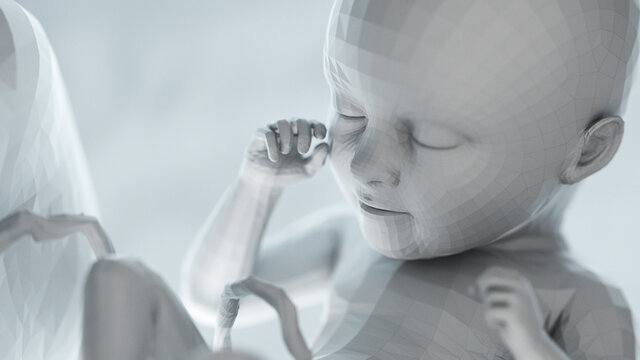 3d rendered illustration of an abstract human fetus - week 35