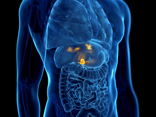 3d rendered illustration of gallbladder cancer