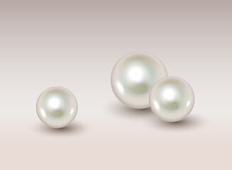 Natural pearls set of different size realistic. Round colored pearl from oyster shell