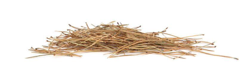 Pile of dried pine needles isolated on white background. Heap of  coniferous tree needles.