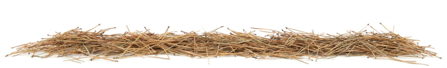 Pile of dried pine needles isolated on white background. Heap of  coniferous tree needles.