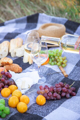 picnic in nature, a girl and a man are holding glasses in their hands with wine.