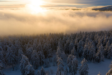 nebeliger wintermorgen  Sonne Nebel