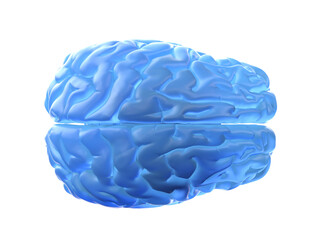 3d rendered illustration of a blue brain