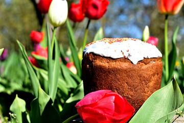 Easter cake on a background of growing flowers.