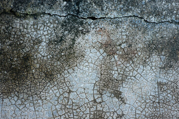 texture of old wall