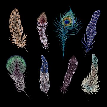Embroidery feathers. Birds feather ethnic design, boho style patches. Hand stitch tribal elements, peacock wings decorative art. Nowaday vector set