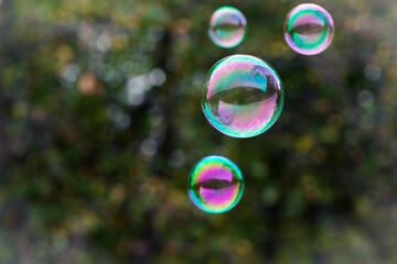 soap bubbles isolated on green background. four large soap bubbles float through the air against a blurred natural background. holiday concept, summer, childhood. multicolored balls close-up