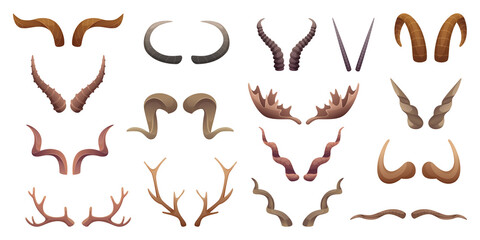 Horns collection. Buffalo rams sheep animal head anatomic parts exact vector collection set - obrazy, fototapety, plakaty