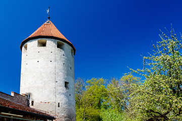 Fototapeta na wymiar Old cylindrical tower with red tiled roof