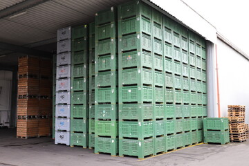 container of apples