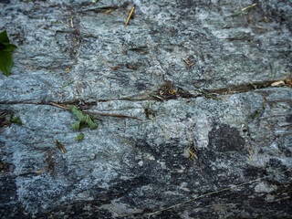 imagen textura piedra gris clara rugosa 