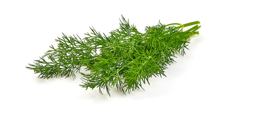 Bunch of dill, isolated on white background.