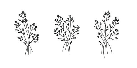 Flower set line simple style botanical decoration Premium Vector