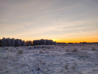 Snow covered plants and tree branches. Winter rural  natural landscape.