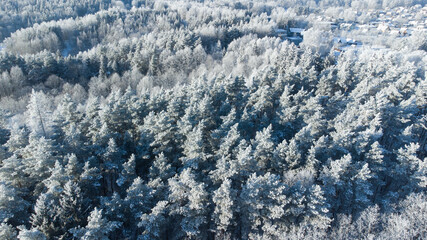 Aerial view for snowy forest. Tree under snow