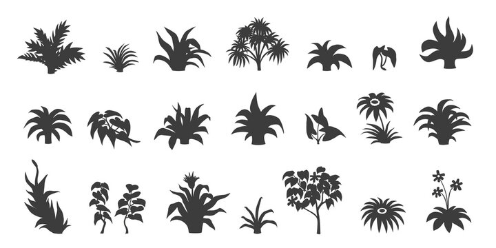 jungle plants silhouette vol2