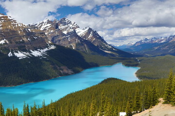 What a beautiful blue Peyto Lake. Wonderful road trip through Banff and Jasper national park in British Columbia, Canada. An amazing day in Vancouver. What a beautiful nature in Canada.