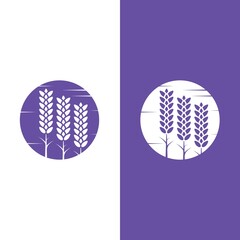 Fresh Lavender flower logo vector
