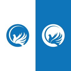 Dove bird logo vector design