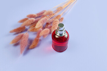 Spray red perfume bottle and pink herbs Lagurus on light purple background.
