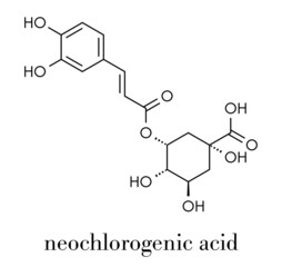Neochlorogenic acid molecule. Skeletal formula.