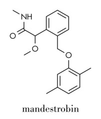 Fototapeta premium Mandestrobin fungicide molecule. Skeletal formula.