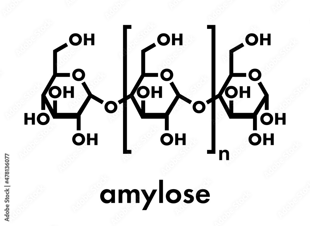 Poster amylose polysaccharide polymer, chemical structure. component of starch (in addition to amylopectin)