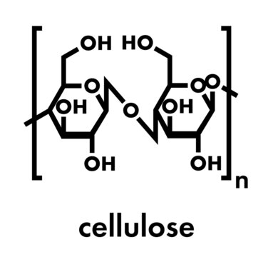 Cellulose, chemical structure. Main component of cotton fiber, wood, paper, etc. Skeletal formula.