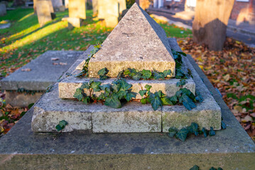 Tomb in graveyard covered in ivy 