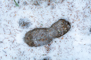 footprints on snow.
