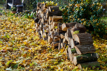 Autumn logs stacked up for kindling and firelighting
