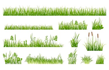 Green grass elements. Gardening elements, spring garden greeny meadow. Plants and weeds, reeds and flowers. Isolated nature exact vector set © LadadikArt