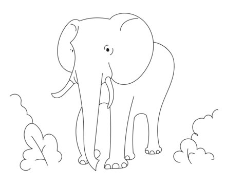 Coloring book for children with the image of elephant. Vector graphics.