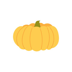 Autumn harvest yellow pumpkin