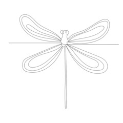 dragonfly sketch drawing by one continuous line, vector