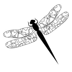 dragonfly, doodle drawing sketch, vector, isolated
